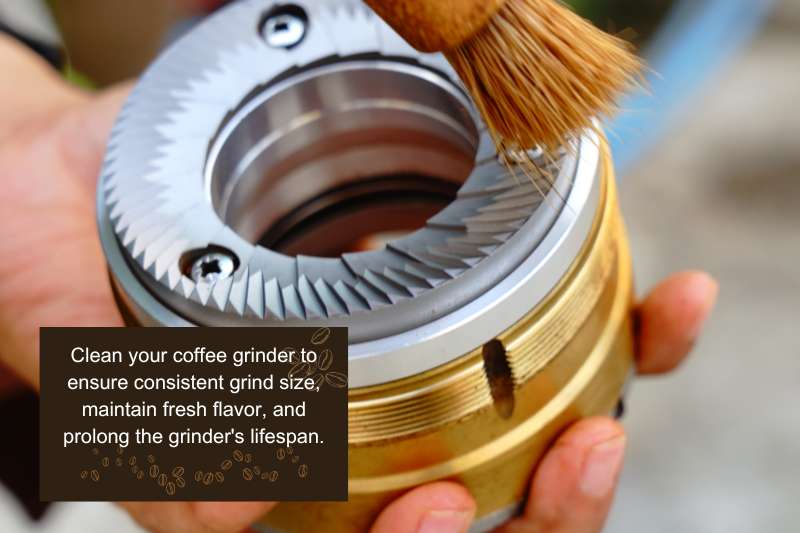 How To Clean Your Coffee Grinder Step By Step Guide How To Clean Your Coffee Grinder Step By Step Guide