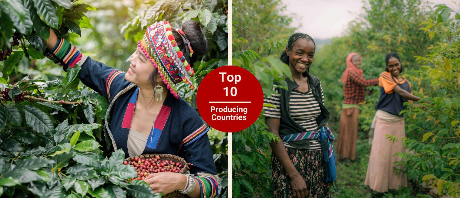 coffee producing countries
