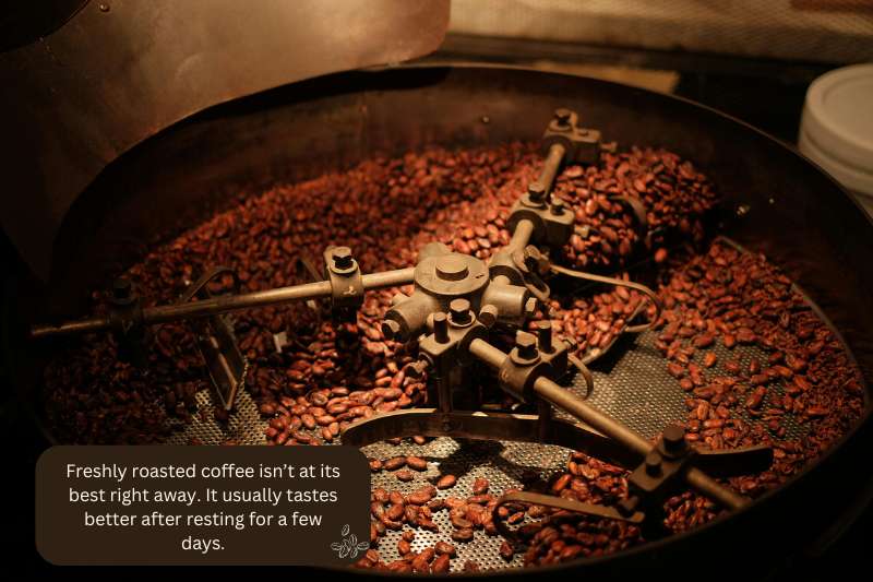 Freshly roasted coffee isn’t best right away — it usually tastes better after resting for a few days.
