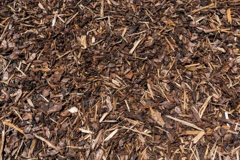 Wood Chips (e.g., Hickory, Cherry, Oak)