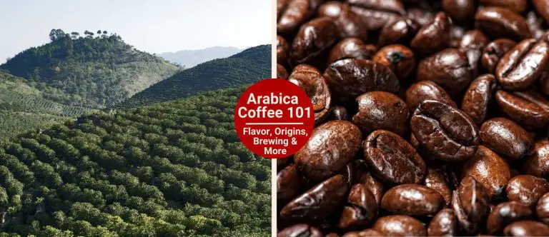 Arabica Coffee 101 Flavor, Origins, Brewing & More