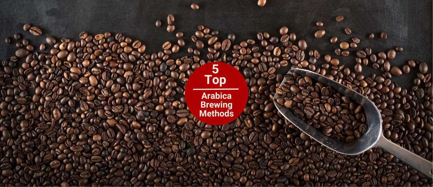 Best Brewing Methods for Arabica Coffee