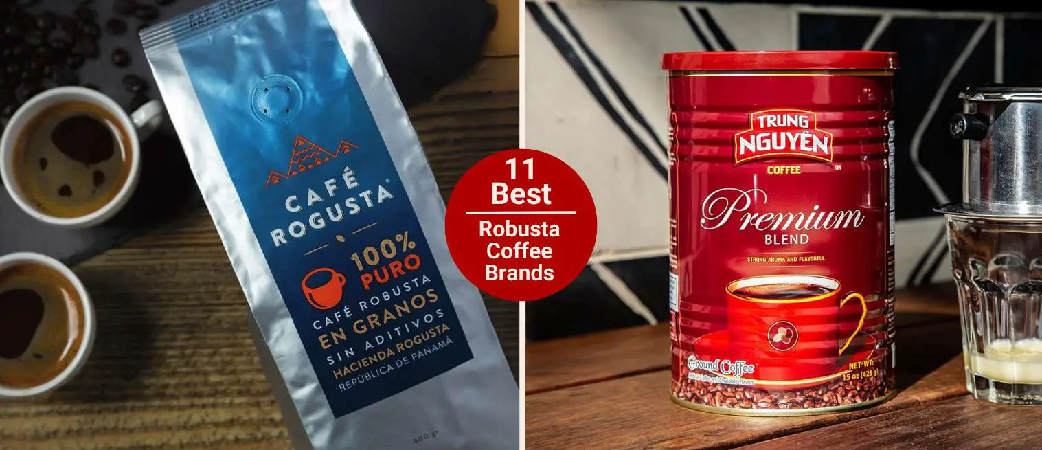 best robusta coffee brands