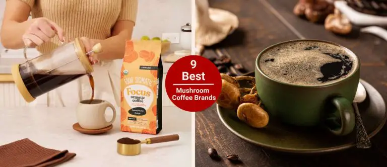 Best Mushroom Coffee Brands
