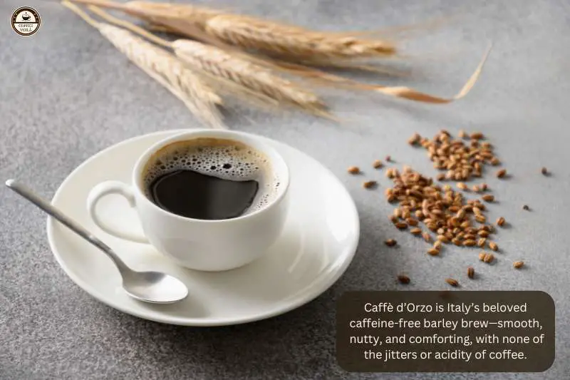 Caffè d’Orzo is Italy’s beloved caffeine-free barley brew—smooth, nutty, and comforting, with none of the jitters or acidity of coffee.