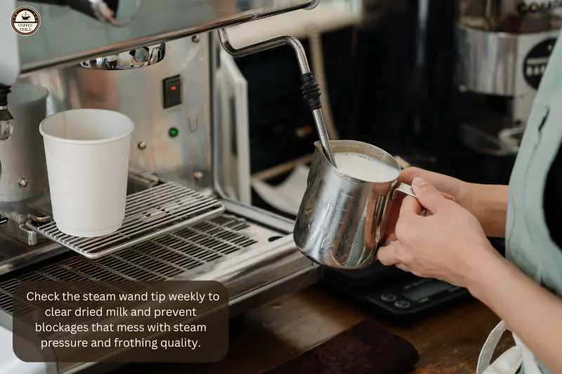 Check the steam wand tip weekly to clear dried milk and prevent blockages that mess with steam pressure and frothing quality.