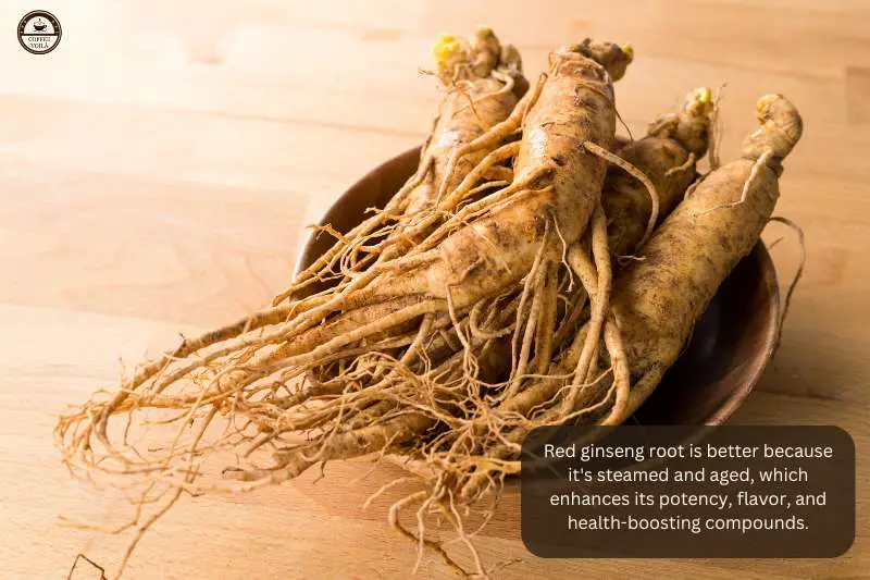 Red ginseng root is better because it's steamed and aged, which enhances its potency, flavor, and health-boosting compounds.