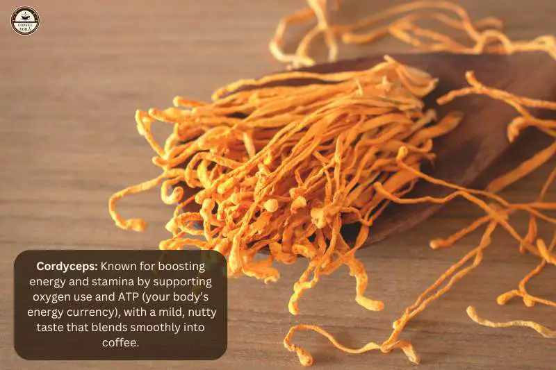 Cordyceps: Known for boosting energy and stamina by supporting oxygen use and ATP (your body’s energy currency), with a mild, nutty taste that blends smoothly into coffee.