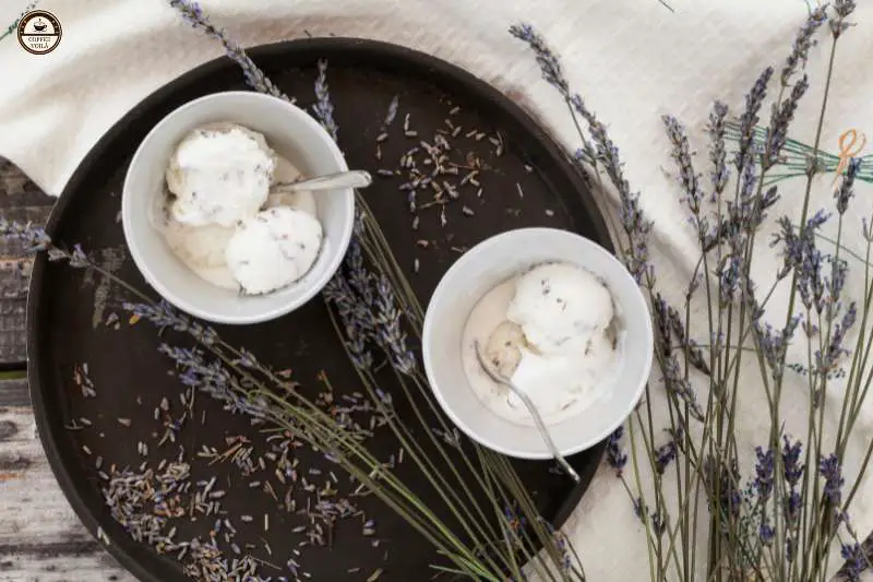 Iced Cream Lavender
