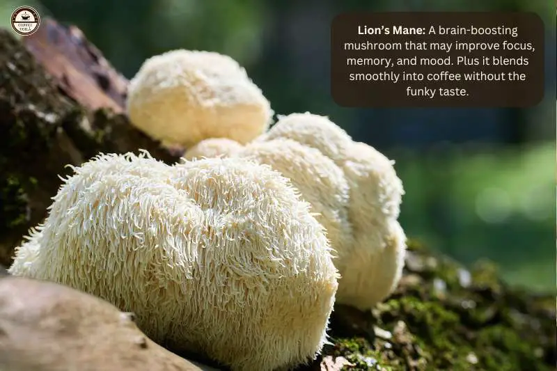 Lion’s Mane: A brain-boosting mushroom that may improve focus, memory, and mood. Plus it blends smoothly into coffee without the funky taste.