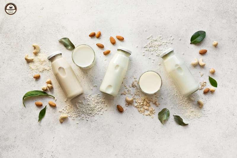 Plant-Based Milk