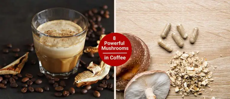 Powerful Types of Mushrooms Used in Mushroom Coffee