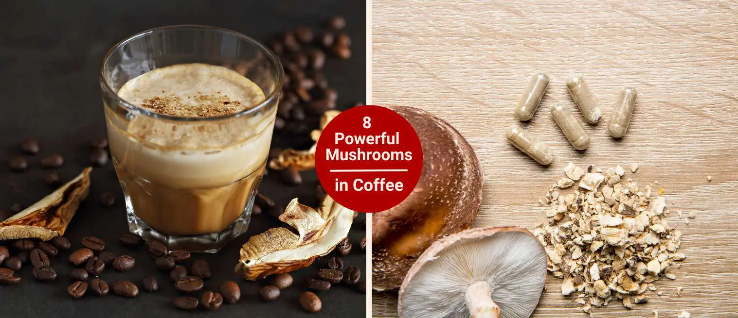 Powerful Types of Mushrooms Used in Mushroom Coffee