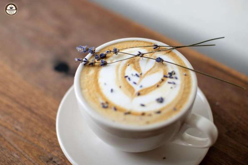 cappuccinos with lavender syrup