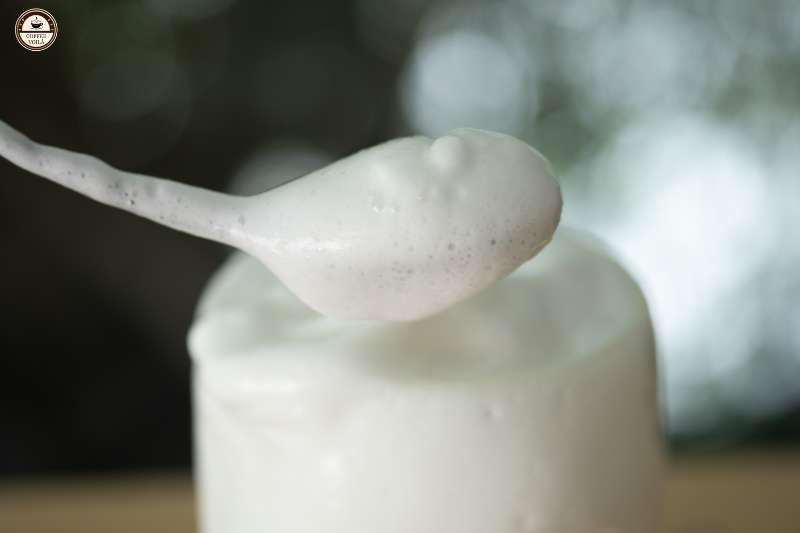 froth milk