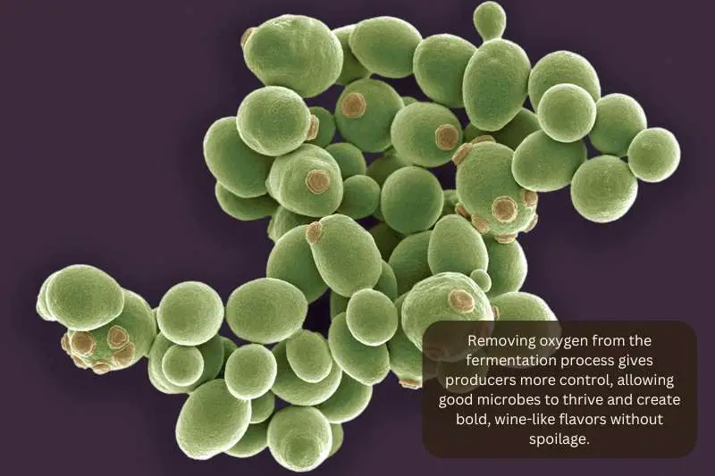 Removing oxygen from the fermentation process gives producers more control, allowing good microbes to thrive and create bold, wine-like flavors without spoilage.