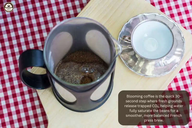 Blooming coffee is the quick 30-second step where fresh grounds release trapped CO₂, helping water fully saturate the beans for a smoother, more balanced French press brew.