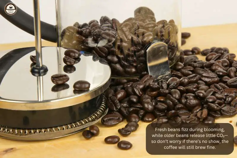 Fresh beans fizz during blooming, while older beans release little CO₂—so don’t worry if there’s no show, the coffee will still brew fine.