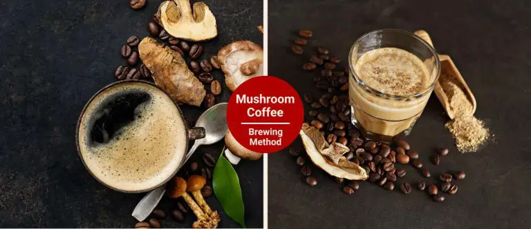 How to Brew Mushroom Coffee