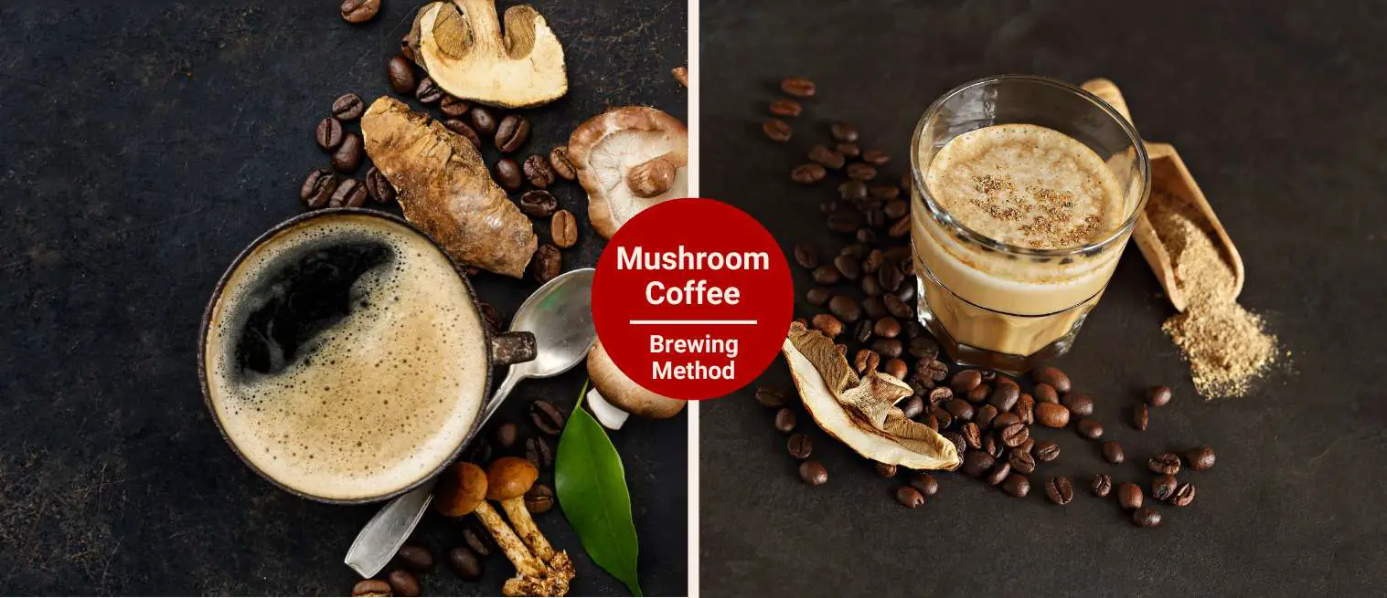 How to Brew Mushroom Coffee