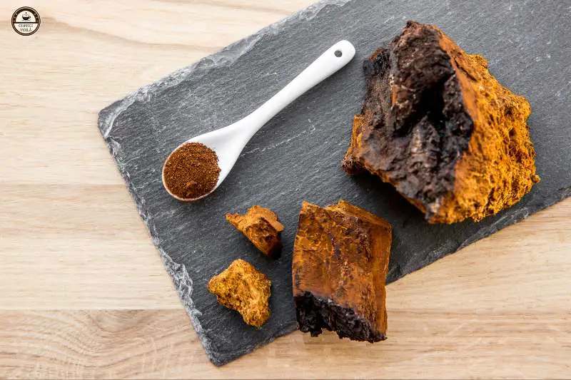 Mushroom Coffee Powders