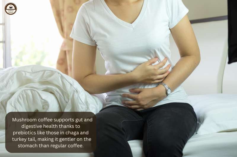 Mushroom coffee supports gut and digestive health thanks to prebiotics like those in chaga and turkey tail, making it gentler on the stomach than regular coffee.