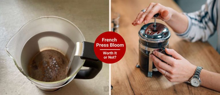To Bloom or Not Bloom Coffee In a French Press