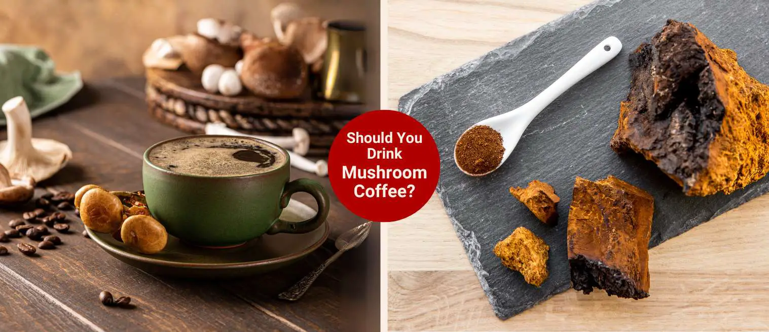 Who Should Not Drink Mushroom Coffee