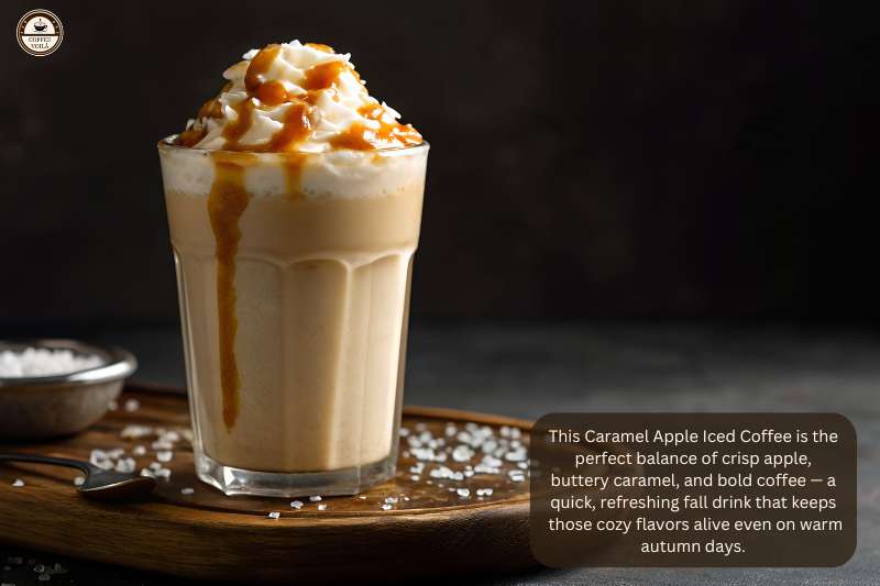 This Caramel Apple Iced Coffee is the perfect balance of crisp apple, buttery caramel, and bold coffee — a quick, refreshing fall drink that keeps those cozy flavors alive even on warm autumn days.