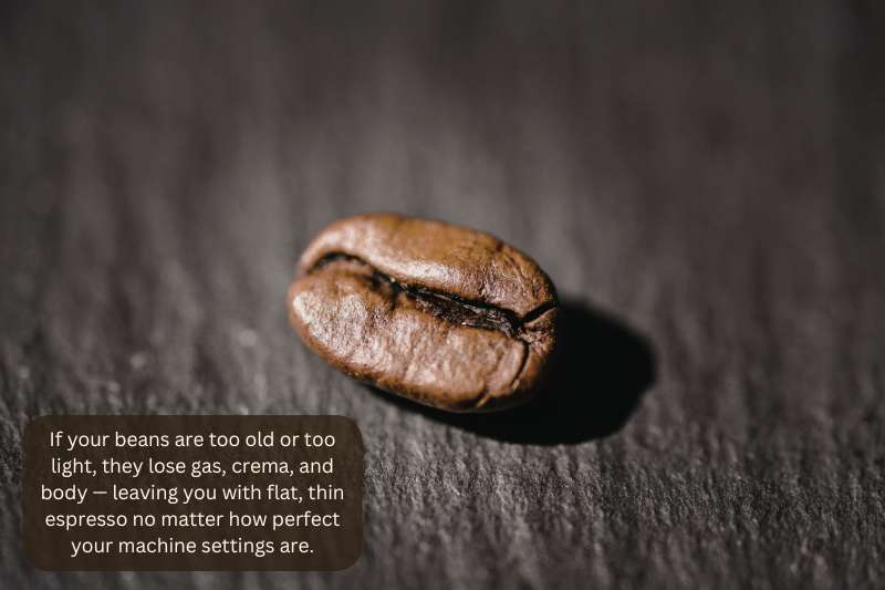 If your beans are too old or too light, they lose gas, crema, and body — leaving you with flat, thin espresso no matter how perfect your machine settings are.