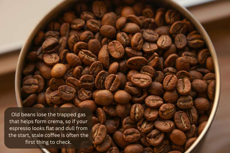 Old beans lose the trapped gas that helps form crema, so if your espresso looks flat and dull from the start, stale coffee is often the first thing to check.